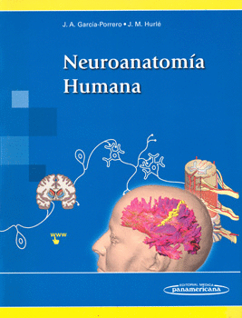 NEUROANATOMÍA HUMANA