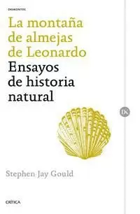 LA MONTAÑA DE ALMEJAS DE LEONARDO