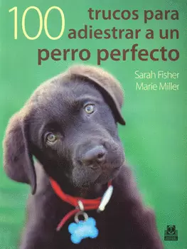 100 TRUCOS PARA ADIESTRAR A UN PERRO PERFECTO