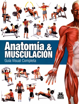 ANATOMÍA Y MUSCULACIÓN