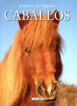 CABALLOS