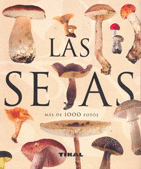 LAS SETAS