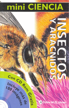 INSECTOS Y ARACNIDOS