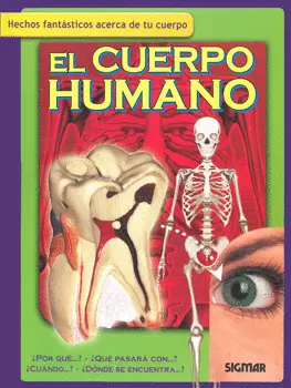 EL CUERPO HUMANO