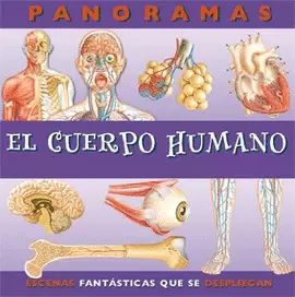 CUERPO HUMANO, EL (PANORAMAS)