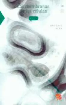 LAS MEMBRANAS DE LAS CÉLULAS