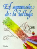 EL CAPARAZON DE LA TORTUGA