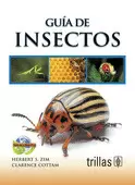 INSECTOS