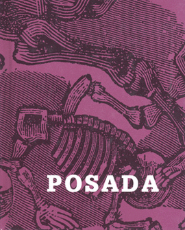 JOSE GUADALUPE POSADA UN ARTISTA EN BLANCO Y NEGRO