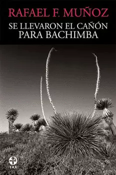 SE LLEVARON EL CAÑÓN PARA BACHIMBA