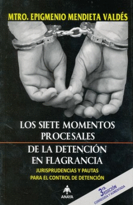 SIETE MOMENTOS DE PROCESALES DE LA DETENCION EN FLAGRANCIA