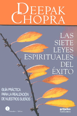 SIETE LEYES ESPIRITUALES DEL EXITO, LAS