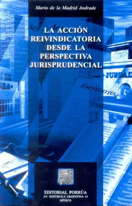 ACCION REIVINCADORA DESDE LA PERSPECTIVA