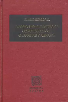 DICCIONARIO DE DERECHO CONSTITUCIONAL, GARANTIAS Y AMPARO