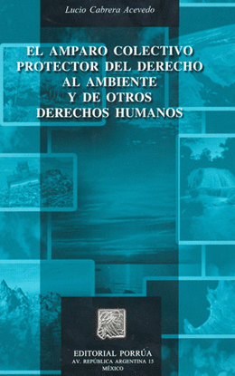 AMPARO COLECTIVO PROTECTOR DEL DERECHO AL AMBIENTE Y DE OTRO