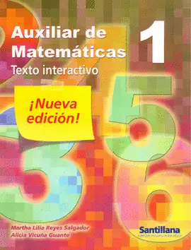 AUXILIAR DE MATEMATICAS 1 N.E