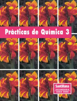 PRACTICAS DE QUIMICA 3 (01)