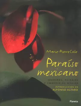 PARAISO MEXICANO