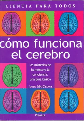 COMO FUNCIONA EL CEREBRO