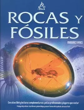 ROCAS Y FÓSILES