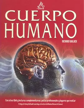 CUERPO HUMANO