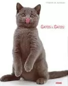GATOS   GATOS