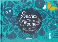 SUEÑOS EN LA NOCHE