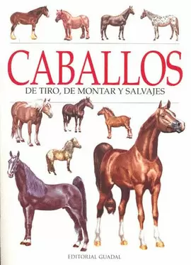 CABALLOS DE TIRO,DE MONTAR Y SALVAJES