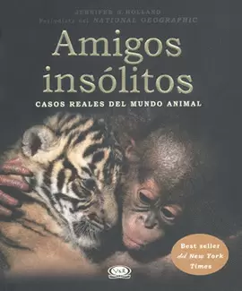 AMIGOS INSOLITOS