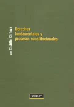 DERECHOS FUNDAMENTALES Y PROCESOS CONSTITUCIONALES