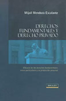 DERECHOS FUNDAMENTALES Y DERECHO PRIVADO