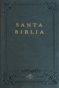 RVR 1960 SIMIL PIEL GRIS TAMAÑO MANUAL NOMBRES DE DIOS