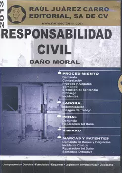 RESPONSABILIDAD CIVIL DAÑO MORAL 2013